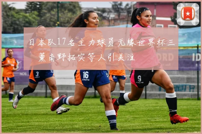 日本队17名主力球员无缘世界杯三笘薰南野拓实等人引关注