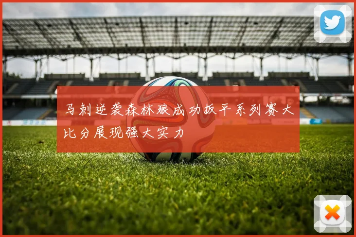 马刺逆袭森林狼成功扳平系列赛大比分展现强大实力